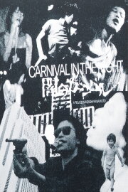Carnival in the Night
