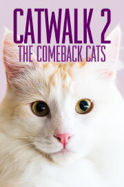 Catwalk 2: The Comeback Cats