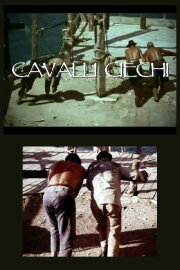 Cavalli ciechi Cavalli ciechi
