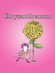 Chrysanthemum Chrysanthemum
