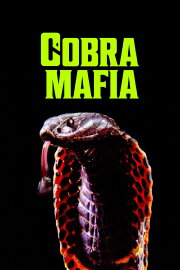 Cobra Mafia