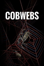 Cobwebs Cobwebs