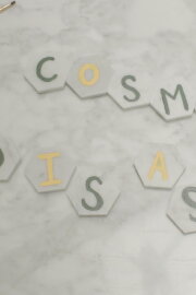 Cosmic Disaster