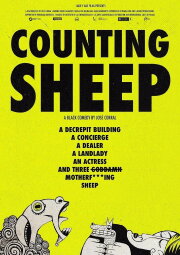 Counting Sheep Counting Sheep