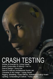 Crash Testing Crash Testing