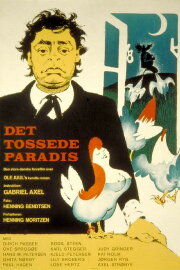 Crazy Paradise Crazy Paradise