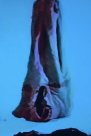 Crisalide Crisalide