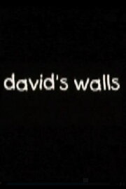 David's Walls