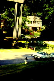 DC '82 Home DC '82 Home
