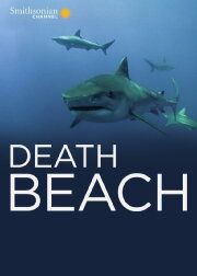 Death Beach Death Beach