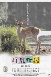 Deer Friend Deer Friend
