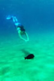 DER SCHWIMMER UND DIE MEERJUNGFRAU DER SCHWIMMER UND DIE MEERJUNGFRAU