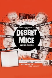 Desert Mice Desert Mice