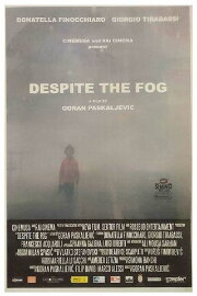 Despite the Fog Despite the Fog