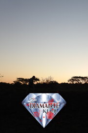 Die diamanté Club