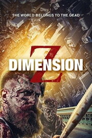 Dimension Z Dimension Z