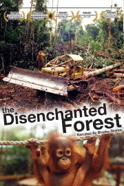 Disenchanted Forest Disenchanted Forest