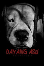 Dog Nation Dog Nation