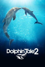 Dolphin Tale 2 Dolphin Tale 2
