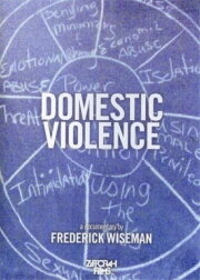 Domestic Violence Domestic Violence