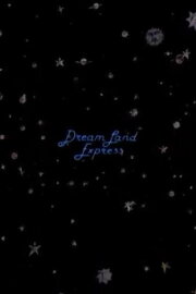 Dream Land Express