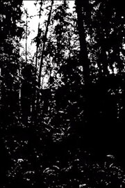 Earth Prayer - Khu.éex