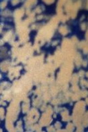 Ecosystem 9 ~ Quicksand Ecosystem 9 ~ Quicksand
