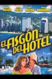 El fisgón del hotel