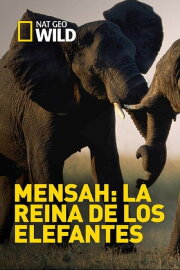 Elephant Queen
