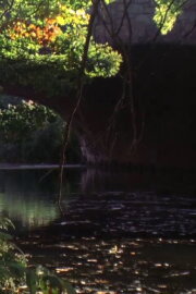 Emerald Necklace