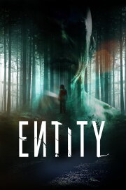 Entity Entity