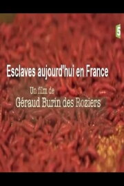 Esclaves aujourd'hui en France