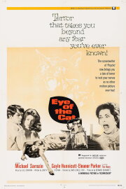 Eye of the Cat Eye of the Cat