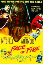 Face of Fire Face of Fire