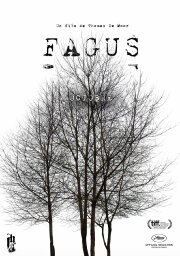 Fagus Fagus