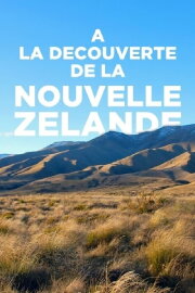Fascinating New Zealand