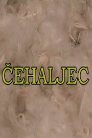 Feather-plucking Feather-plucking