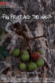 Fig Fruit and The Wasps