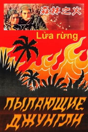 Fire in the Woods