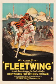 Fleetwing Fleetwing