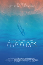 Flip Flops Flip Flops