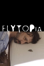 Flytopia Flytopia