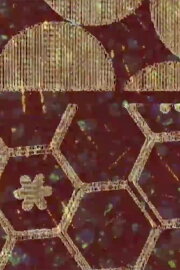 Framelines Framelines