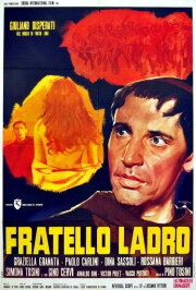Fratello ladro