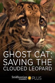 Ghost Cat: Saving the Clouded Leopard