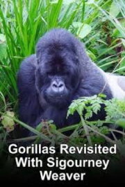 Gorillas Revisited with Sigourney Weaver Gorillas Revisited with Sigourney Weaver