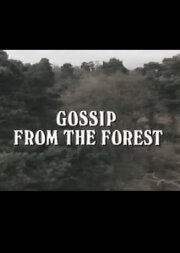 Gossip from the Forest Gossip from the Forest