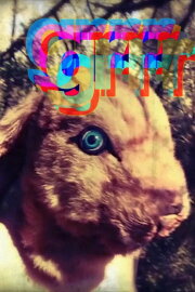 Grrr Grrr