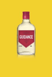Guidance Guidance