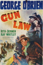 Gun Law